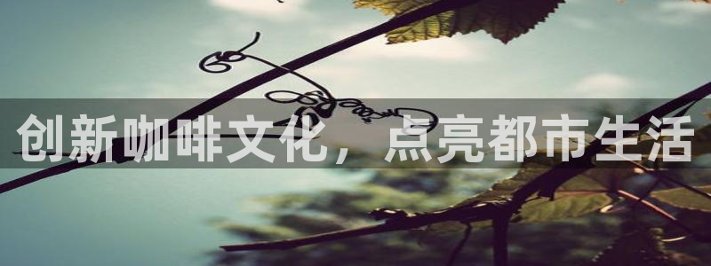 95必赢网址多少