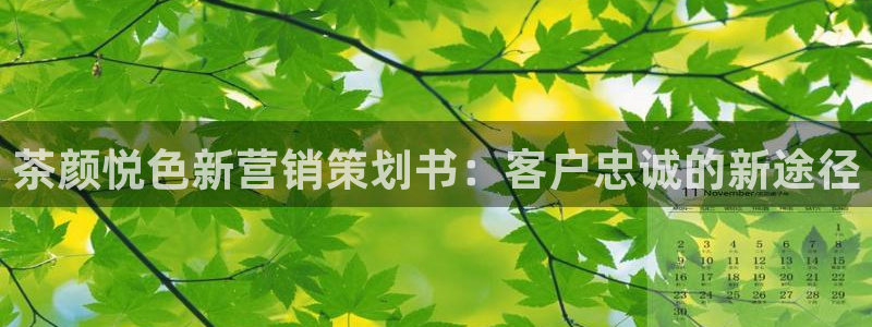 必赢官网app下载安装苹果手机