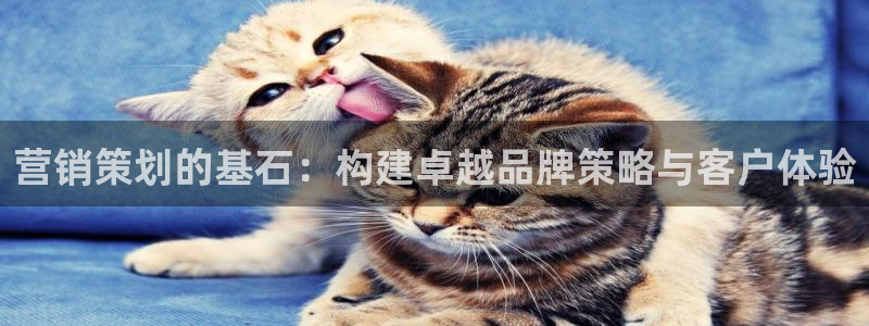 9965必赢苹果下载