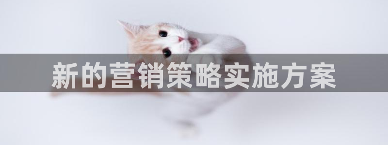 必赢抢红包网址