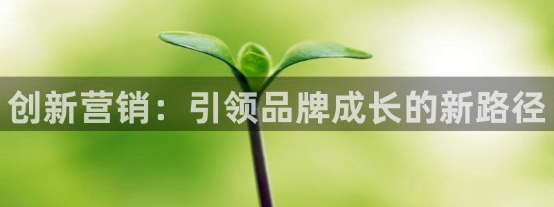 必赢用户登录：创新营销：引领品