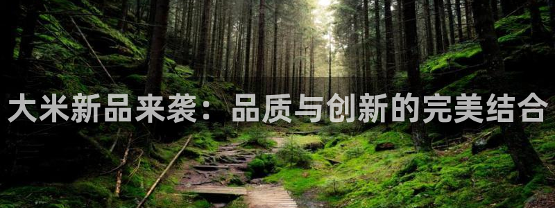 必赢国际a600典cc注册