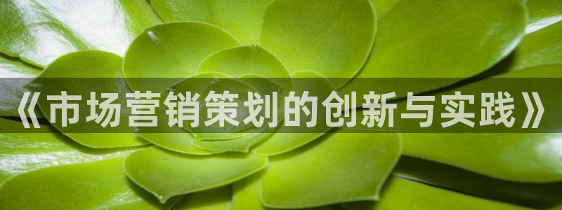 必赢网址谁知道