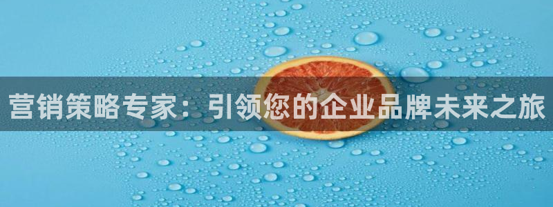 必赢手机版官网