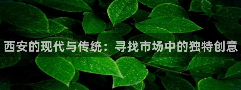 必赢这个软件怎么样知乎