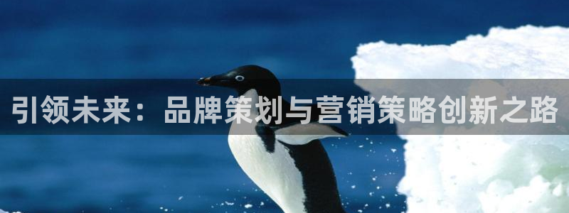 必赢手机app下载最新版本安装